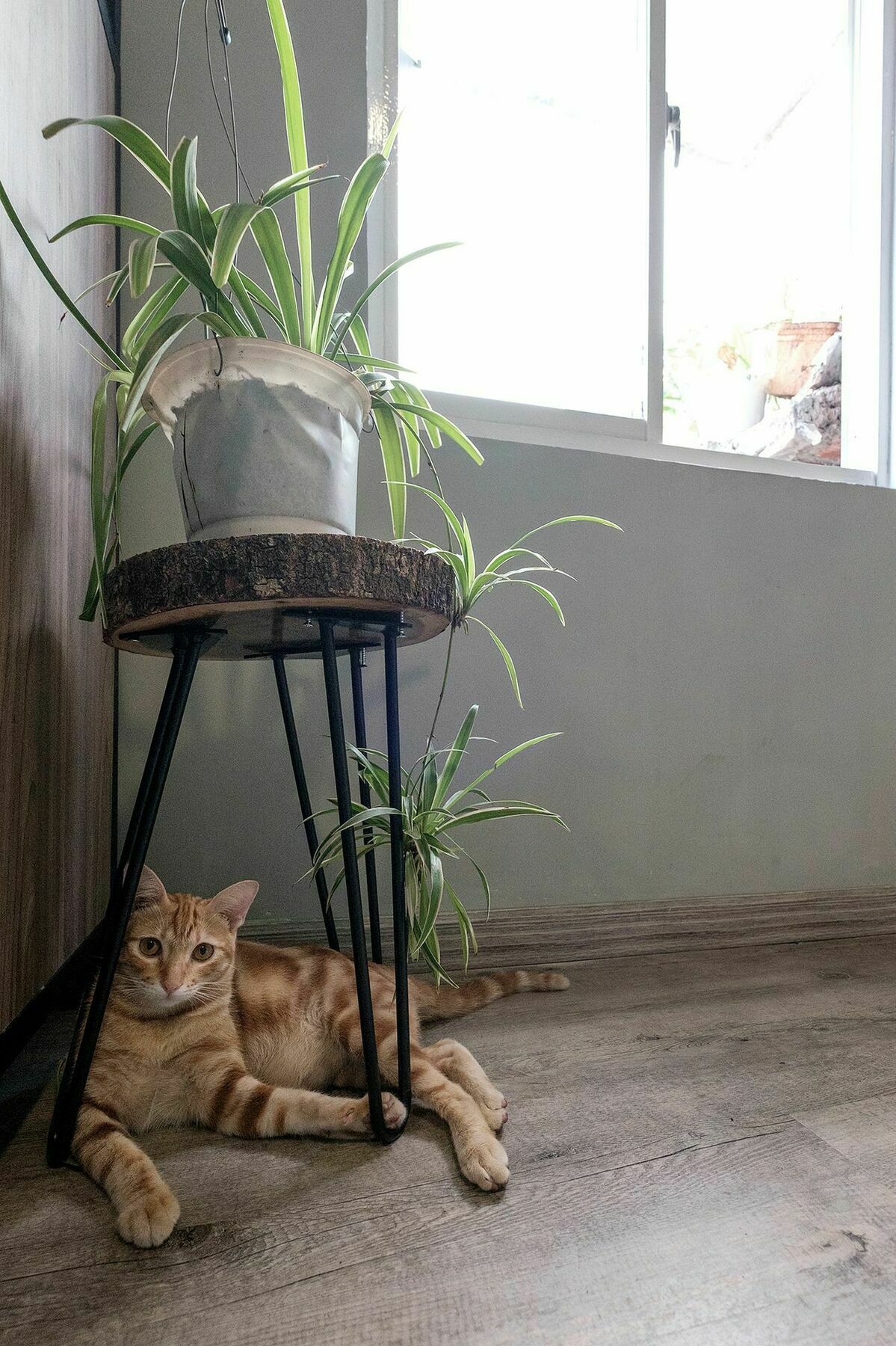 Saigon Inner Home Ho Chi Minh-byen Eksteriør bilde